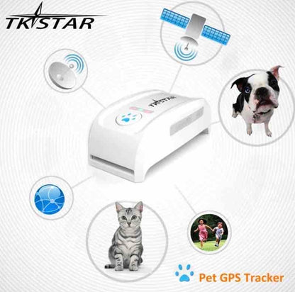 GPS Ogrlica za Pse TKSTAR TK911 – Praćenje Lokacije Putem Telefona