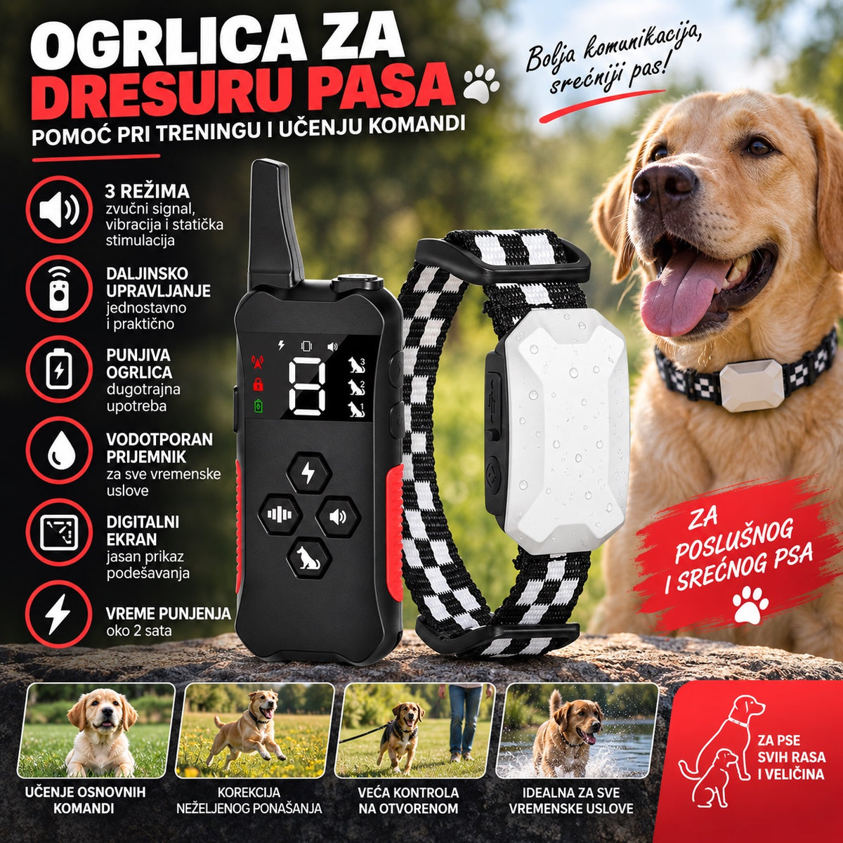 Ogrlica za Dresuru Pasa sa Daljinskim Upravljačem